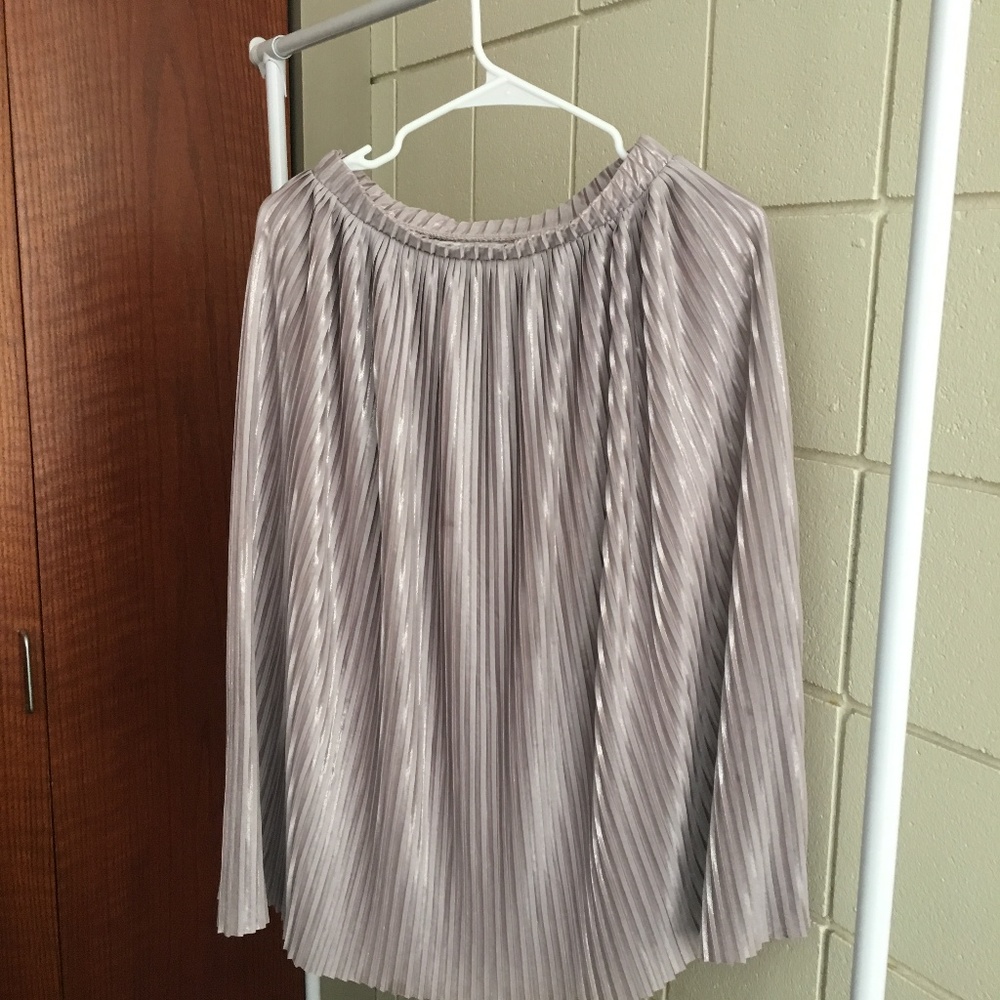 Uniqlo Pleated Skirt